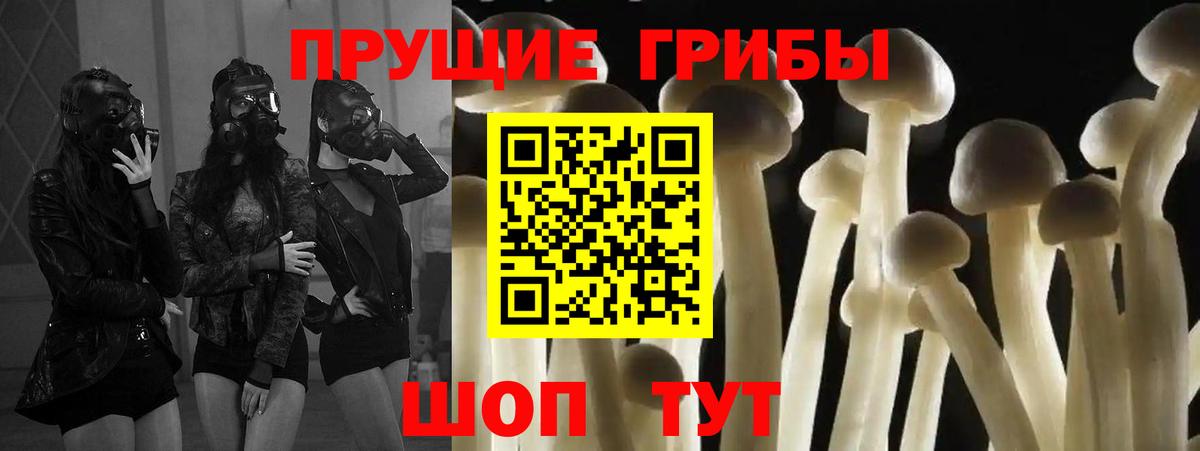 Галлюциногенные грибы мухоморы  Вход с VPN  Сергиев Посад 